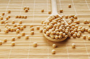 宜賓新聞網(wǎng)健康頻道 食品安全，從餐桌到人心
